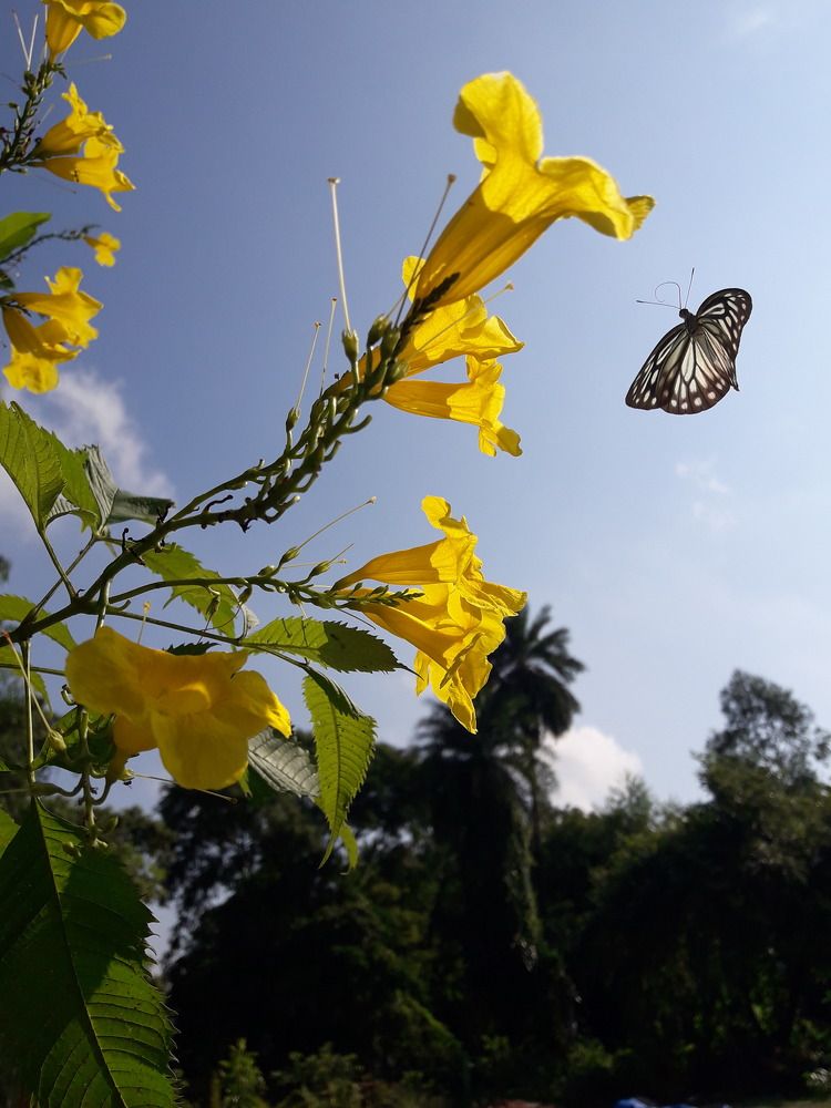 Photograph by Shashwat Mishra