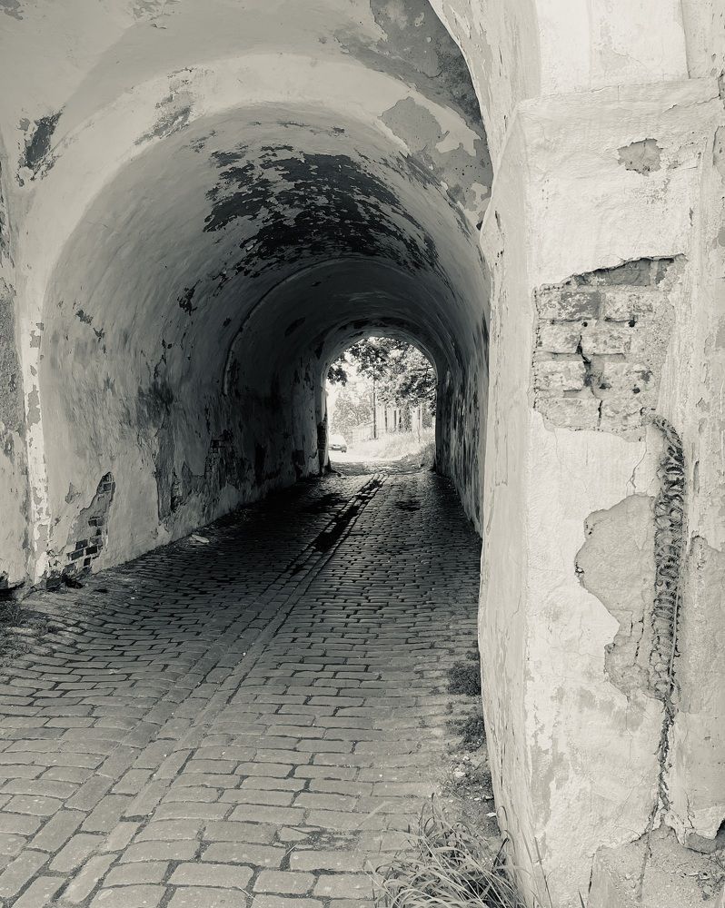 Фотография автора Алёна Шипачёва