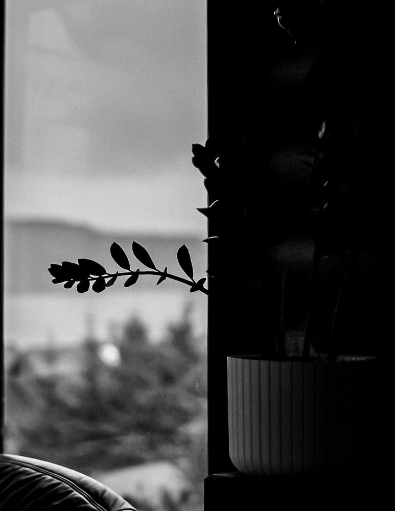 Photograph by МАРИНА