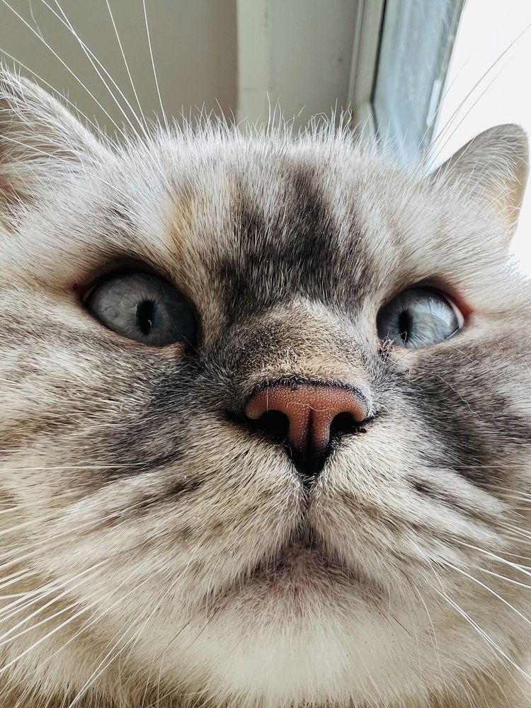 Photograph by Eugenia Schmidt