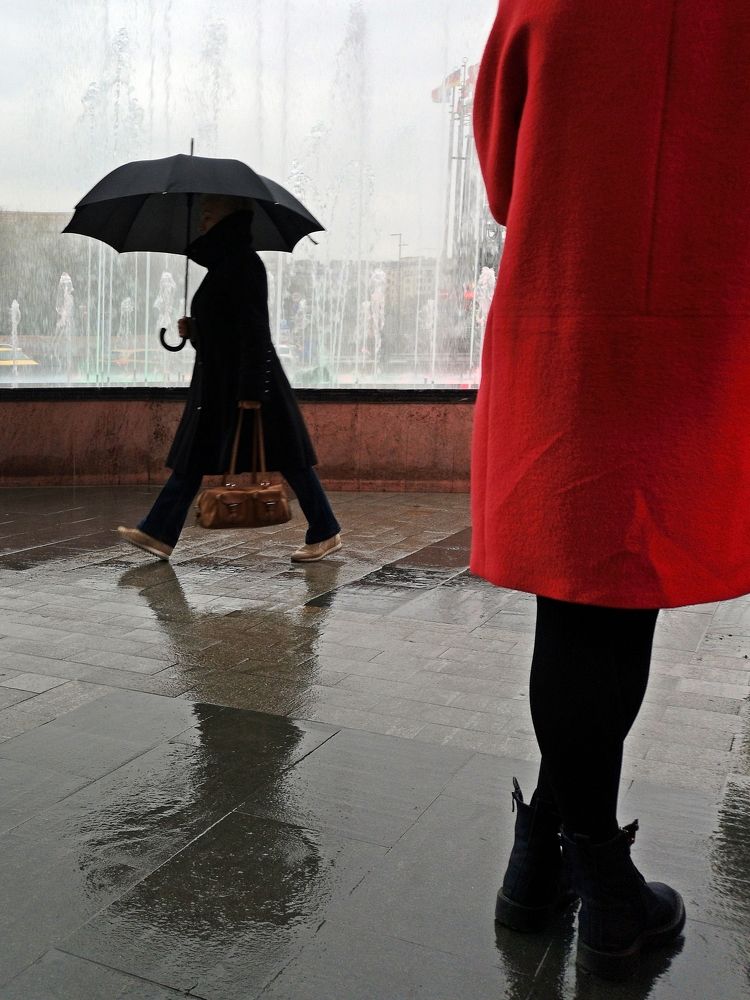 Photograph by Михаил Янкин