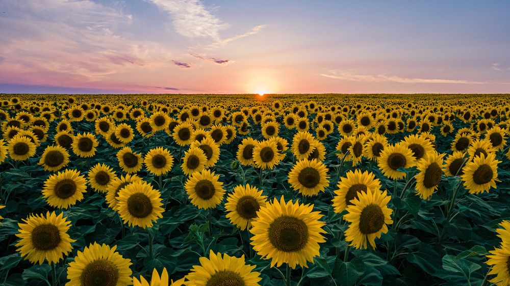 Photograph by Герман Матвеев