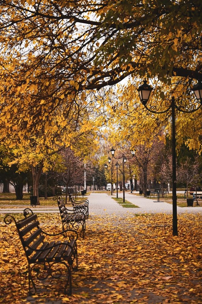 Photograph by Ольга Кудина