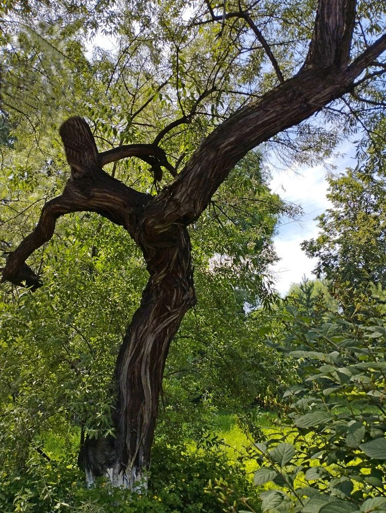 Photograph by Рашид Шайдулин