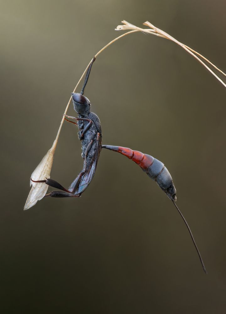 Фотография автора Андрей Жила