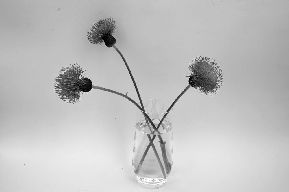 Photograph by Владимир Грибков