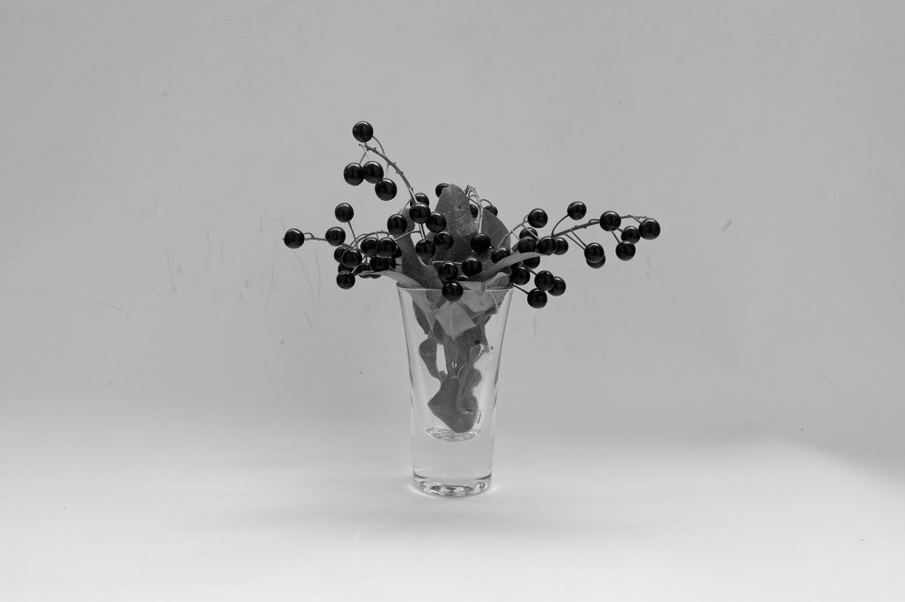 Photograph by Владимир Грибков