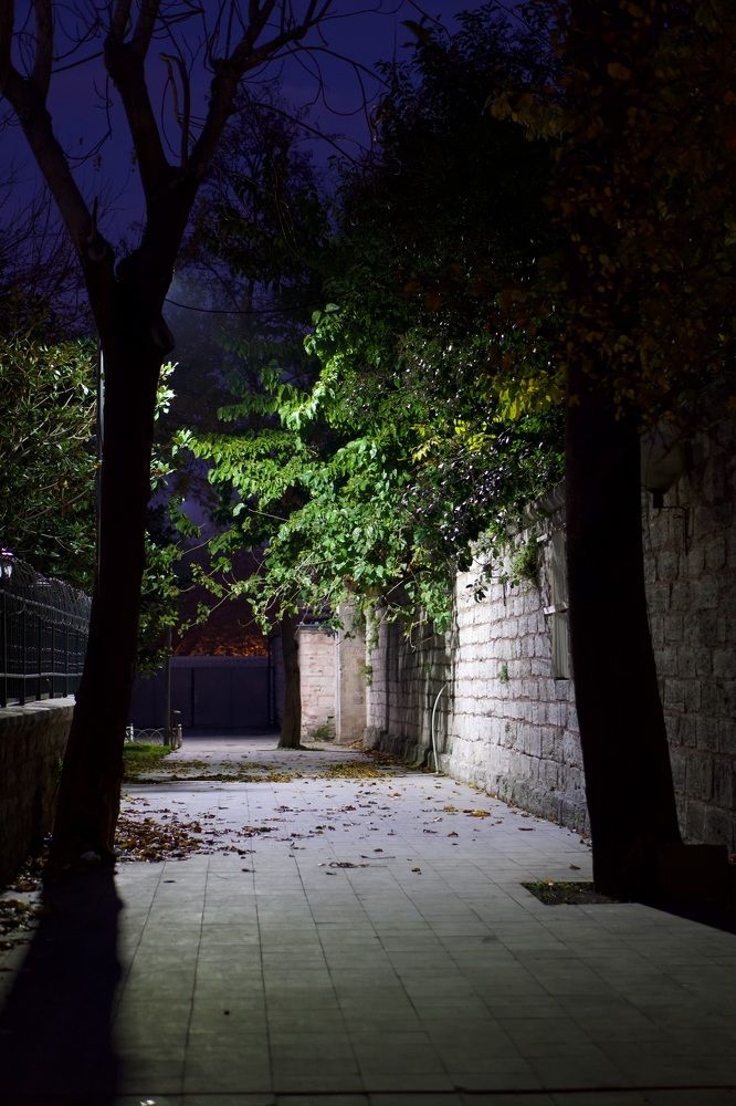 Photograph by Александр Кудрявцев