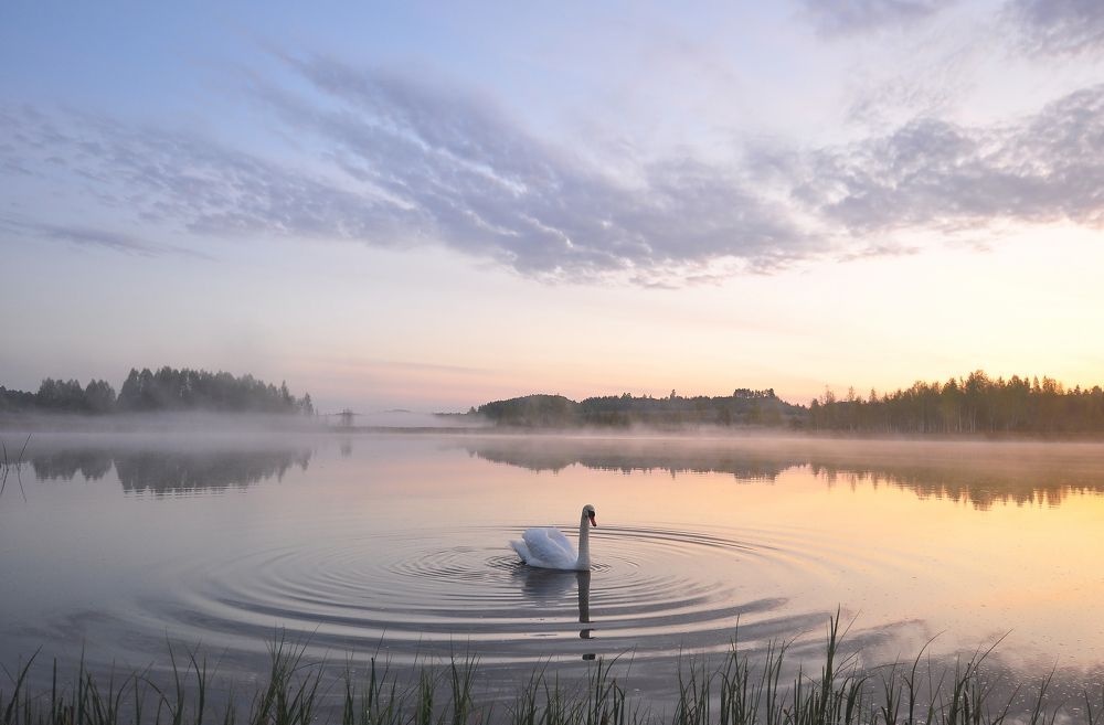 Photograph by Юрий Яковлев