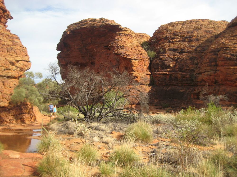 Фотография автора Елена Александрова