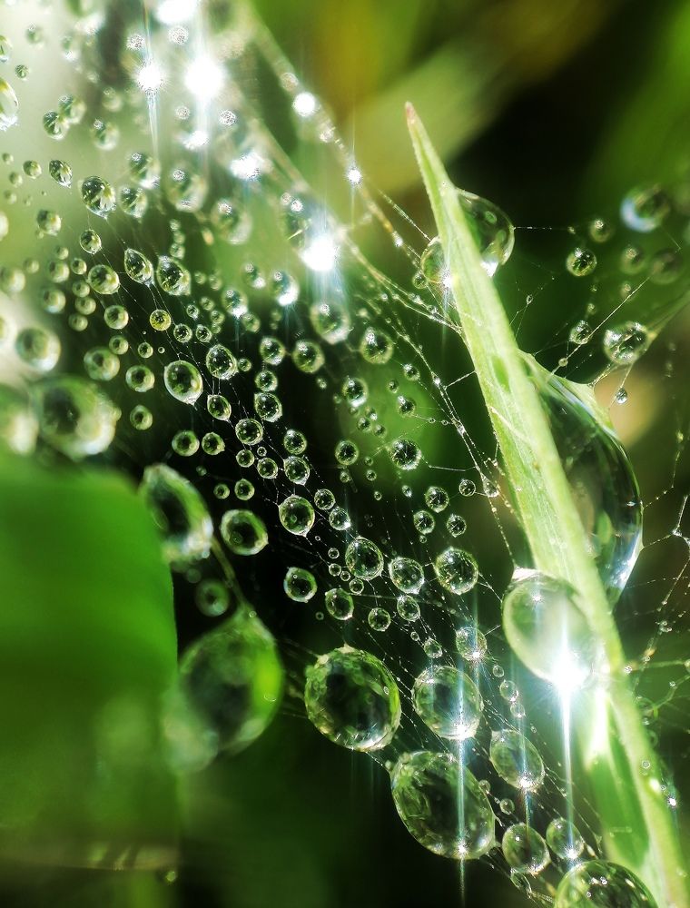 Photograph by Krystyna