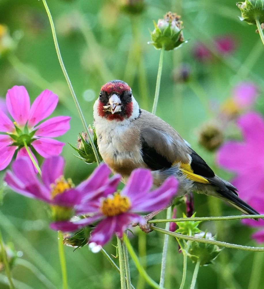 Photograph by Михаил Трусов