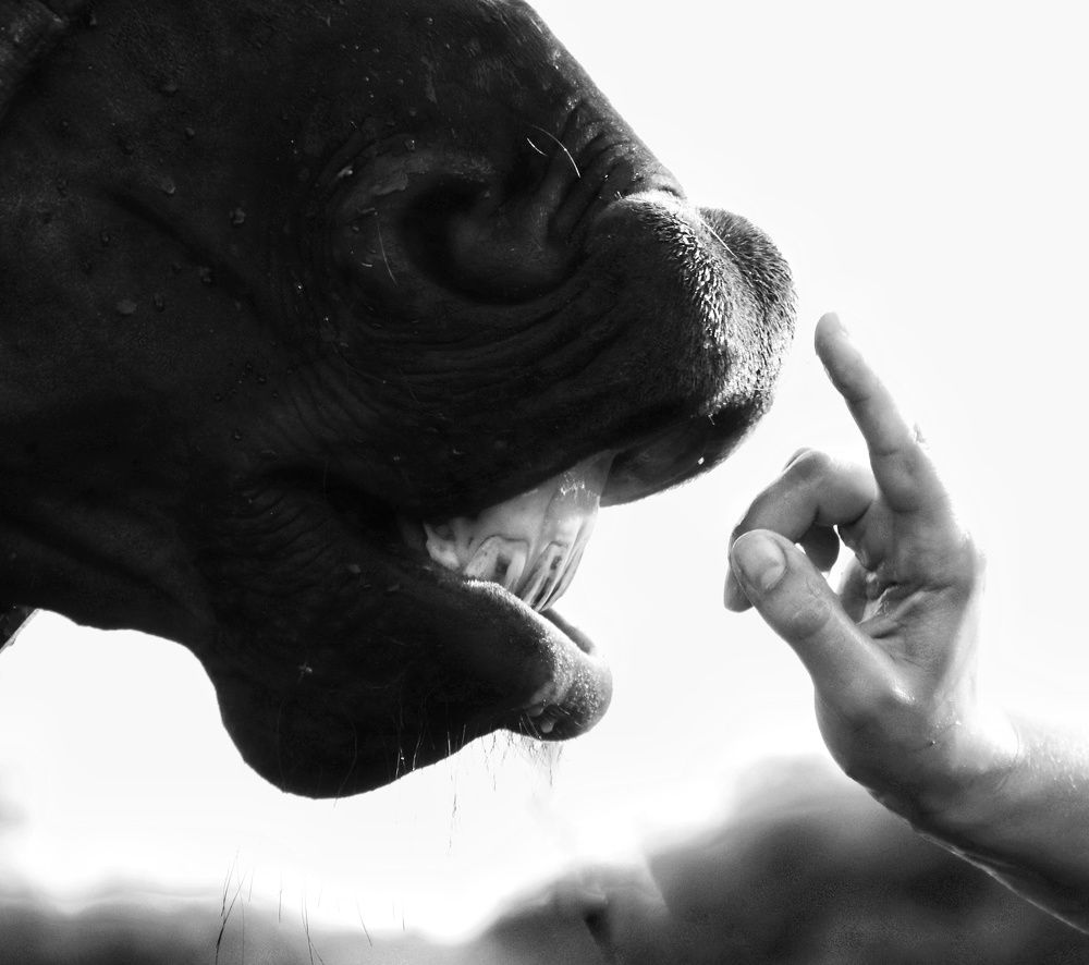 Photograph by Olga Asson