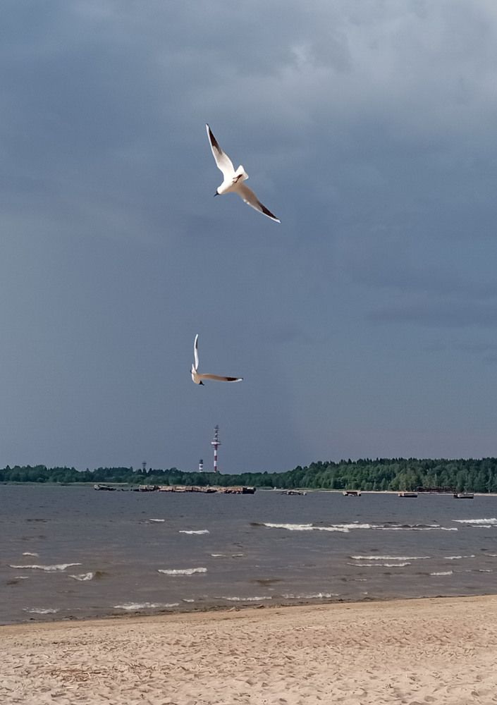 Photograph by Boris Butianov