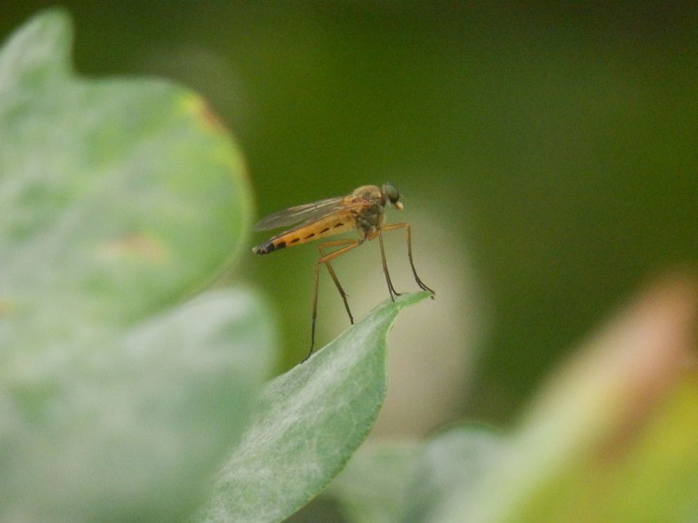 Photograph by Георгий Салюков