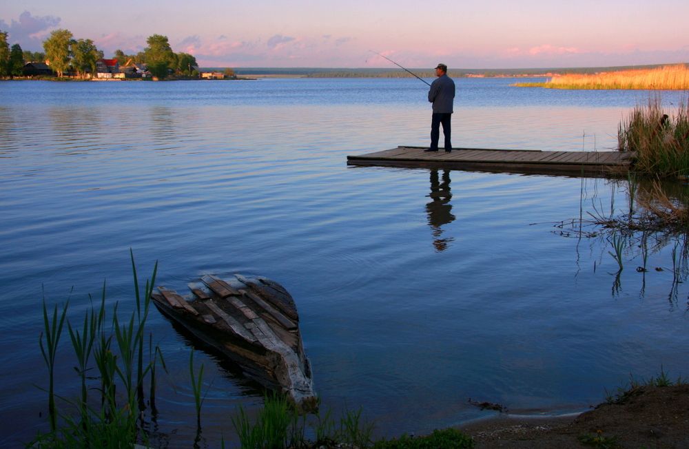Фотография автора Nelya  Lysenko