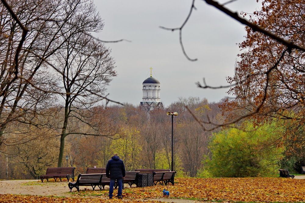 Photograph by Алексей Бородинов