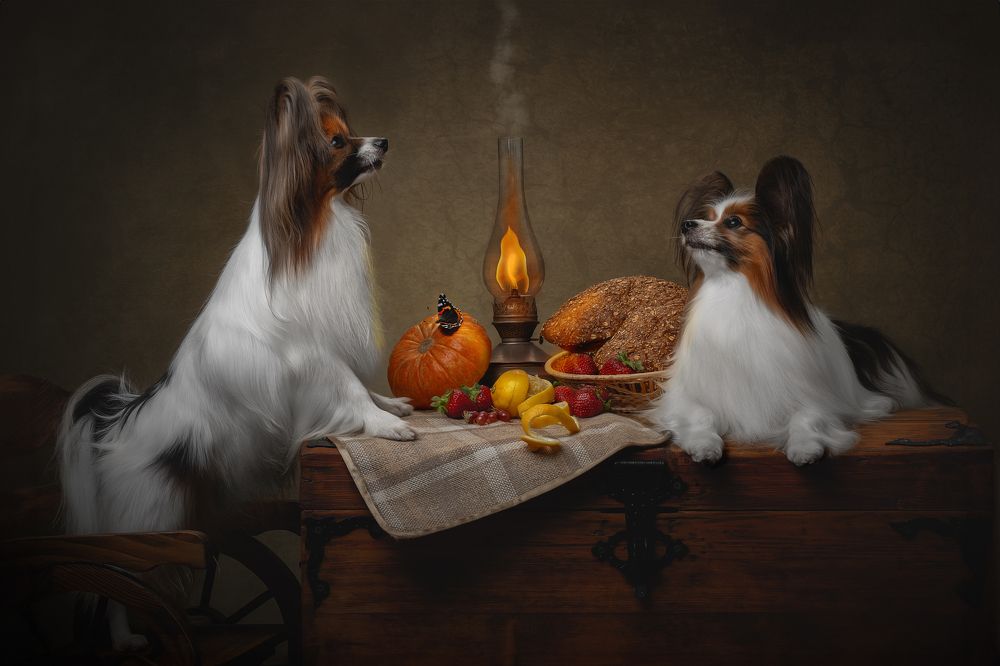 Photograph by Светлана Писарева