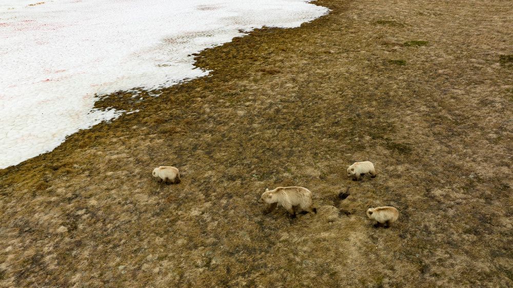 Photograph by Александр Белов