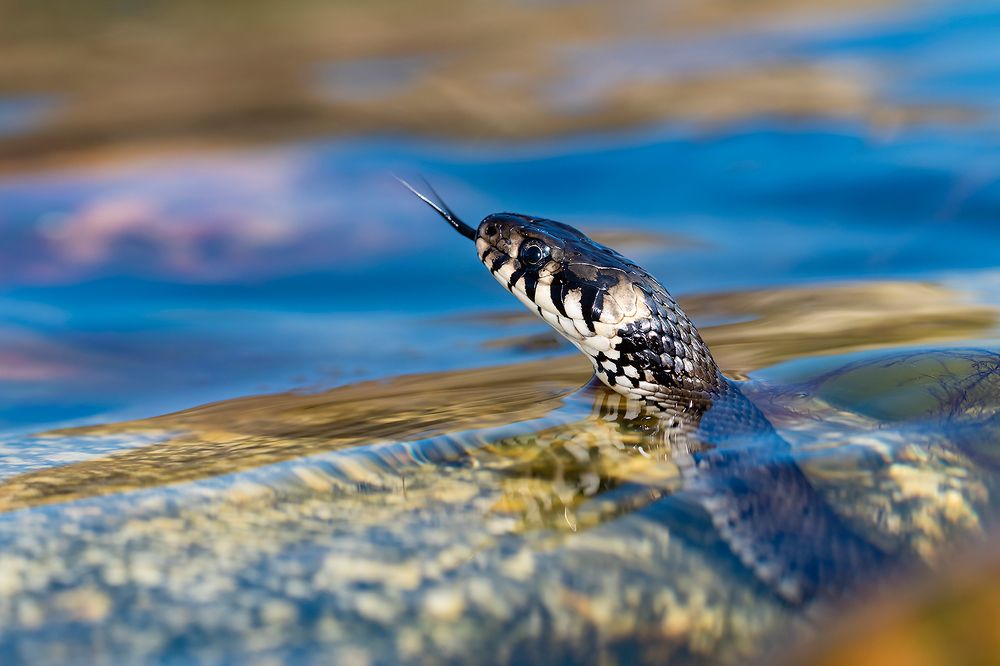 Photograph by Александр Абросимов