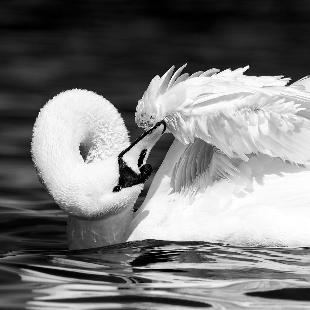 Photograph by Александр Абросимов