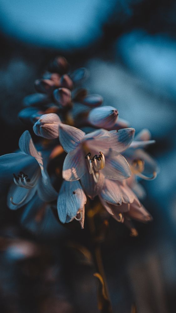 Photograph by Anton Kotlovskii