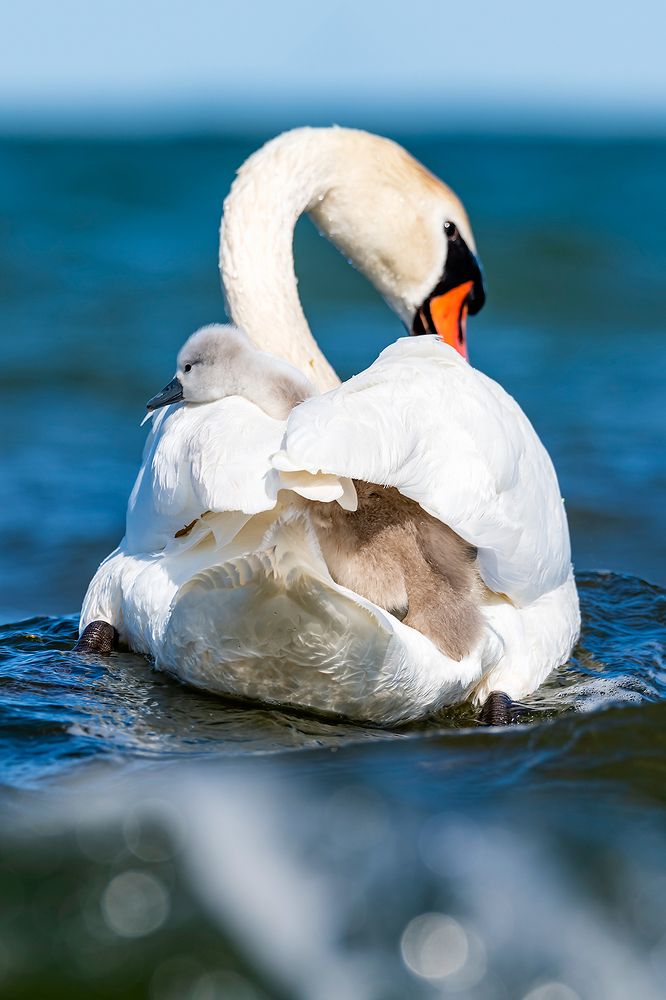 Photograph by Александр Абросимов