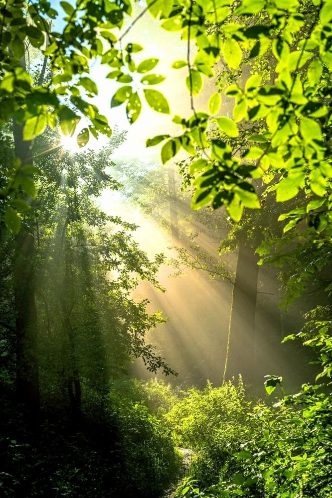 Photograph by Евгений Никонов