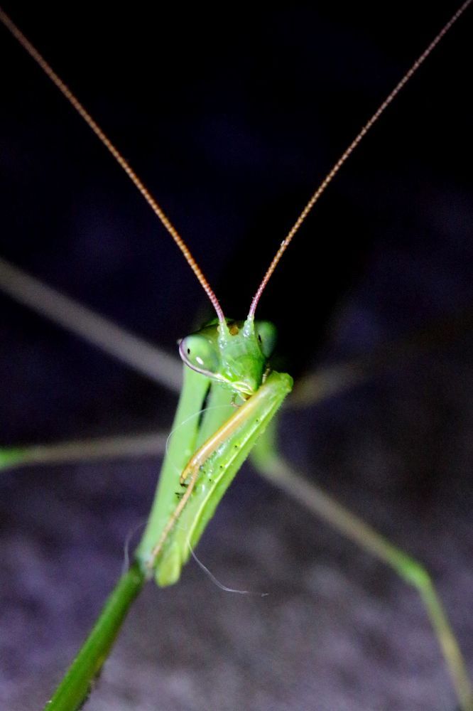 Photograph by Юрий Варюхин