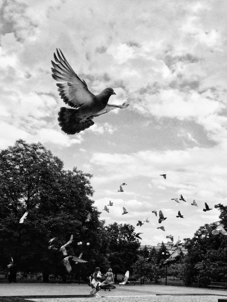 Photograph by Людмила Евстратова