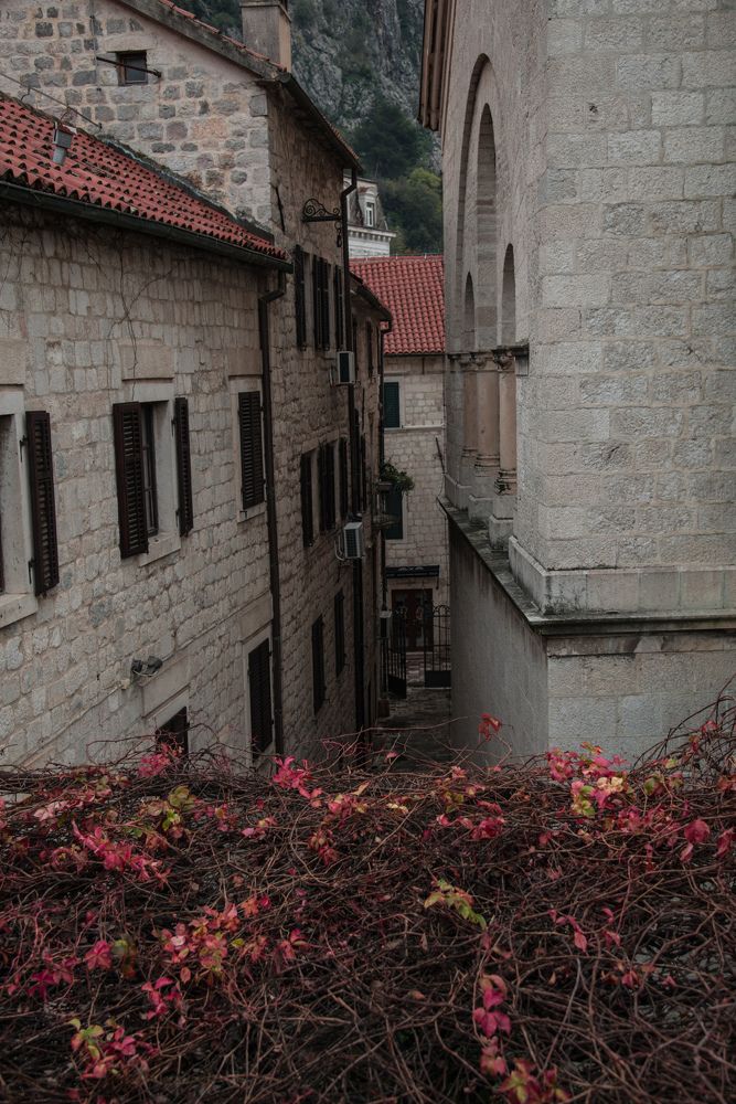 Фотография автора Юлия