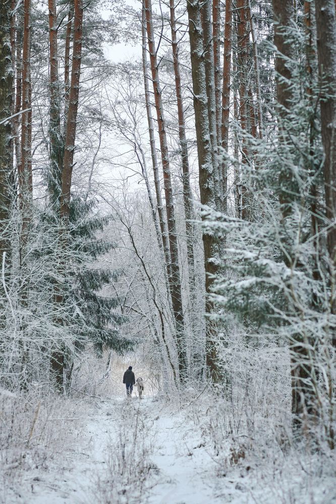 Photograph by Валерий Зенович