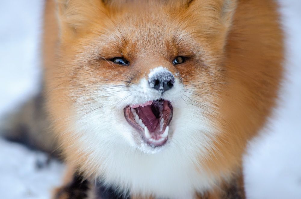 Photograph by Вероника Ливанова