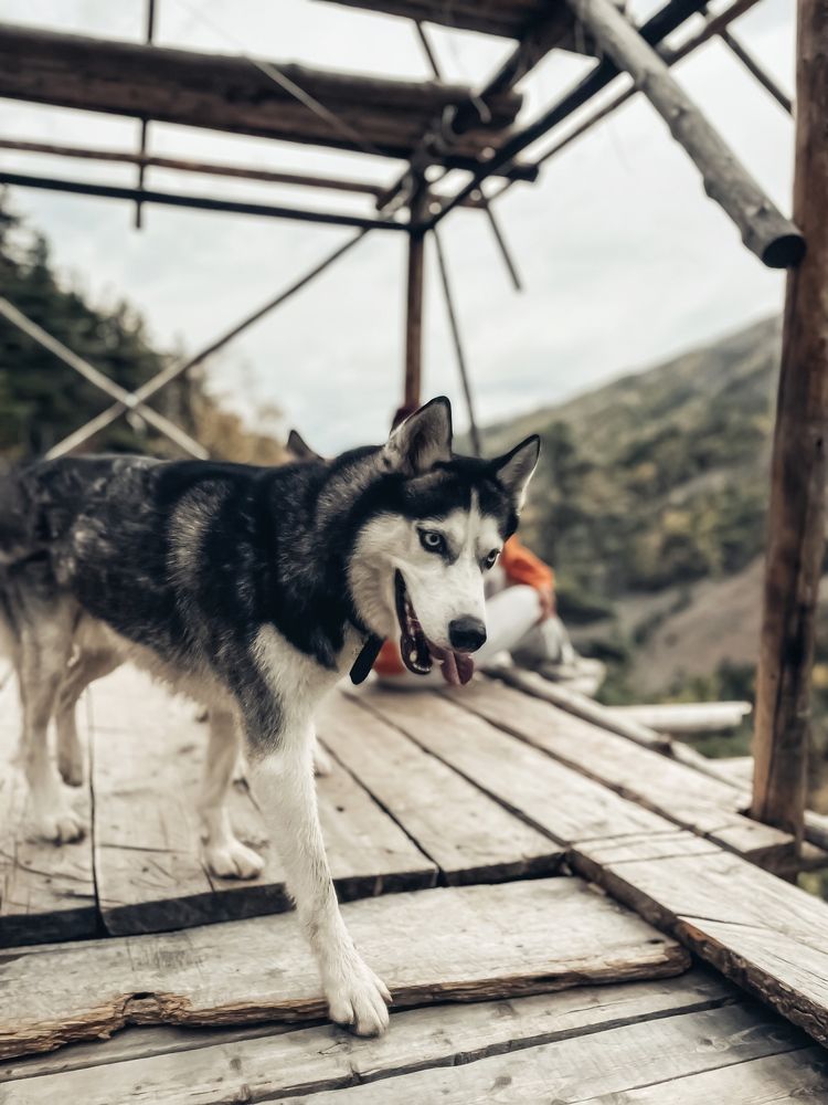 Photograph by Оксана Шевченко