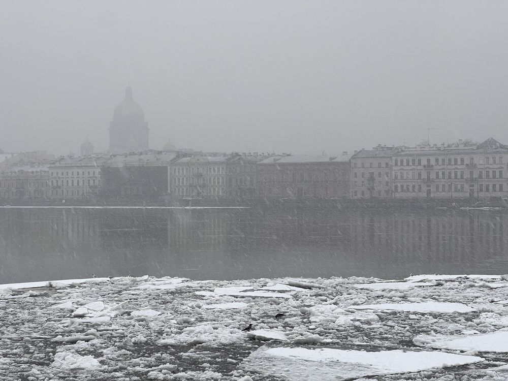 In the fog