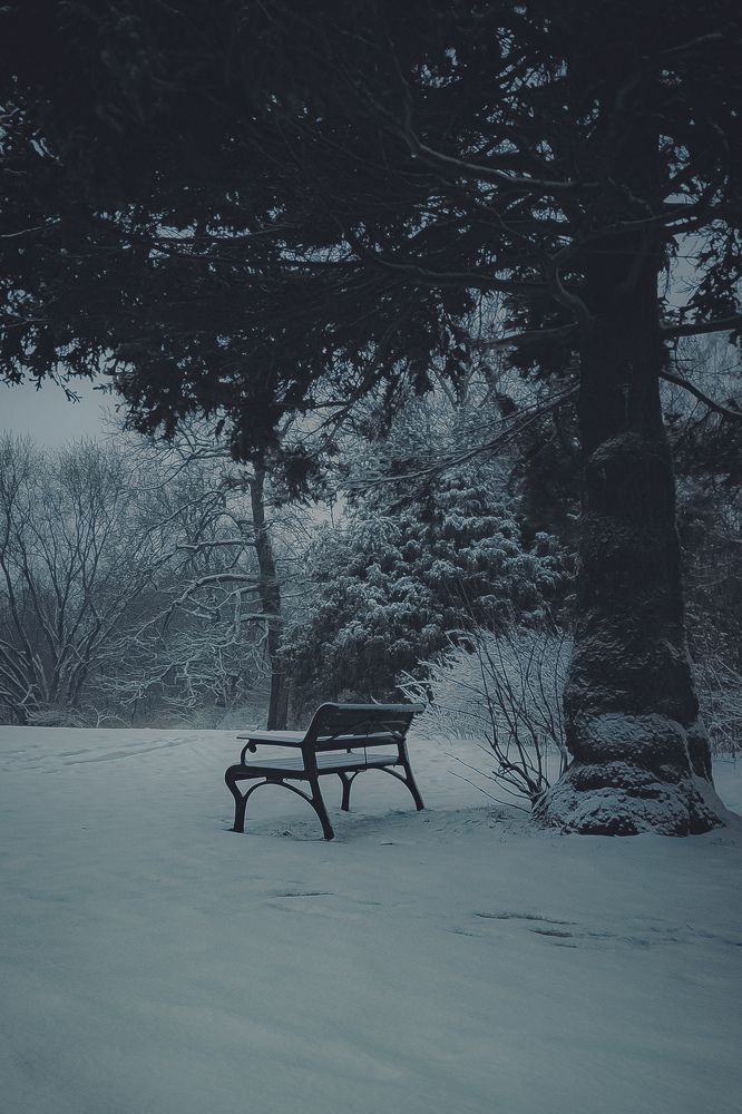 Photograph by Anton Kotlovskii