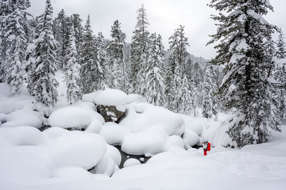 Photograph by Екатерина Просвирнина