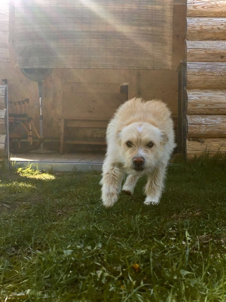 Фотография автора Александр Сипаров