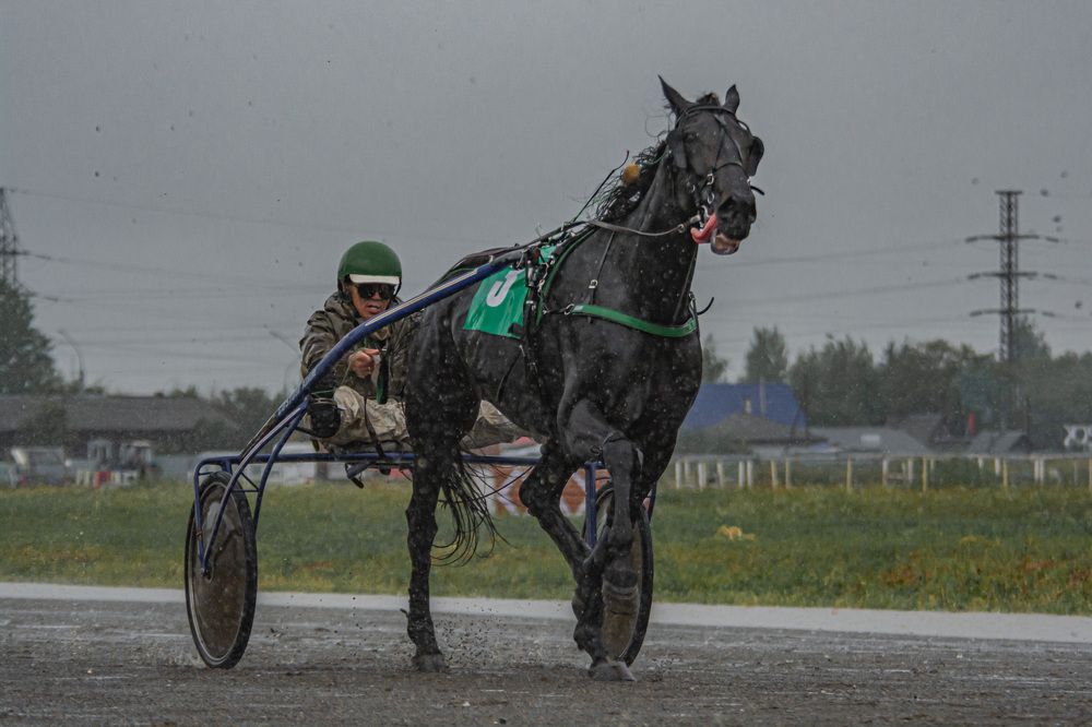 Photograph by Андрей Бобрюк