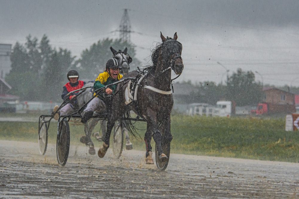 Photograph by Андрей Бобрюк