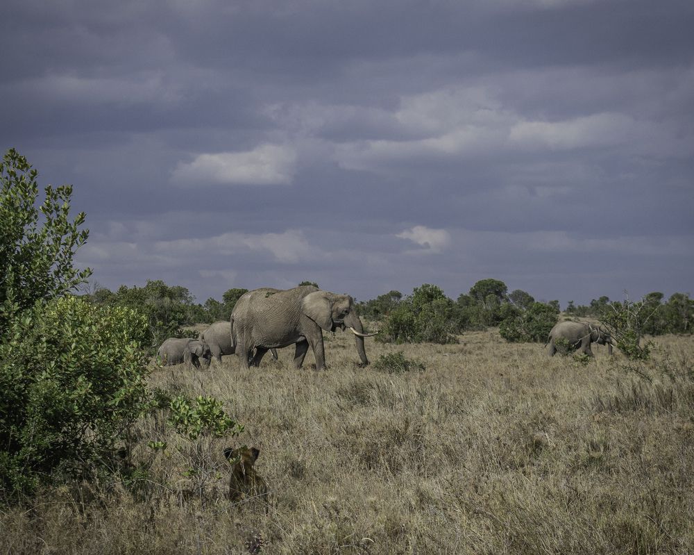 Photograph by Rio Marvin