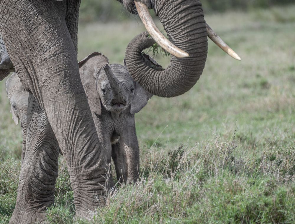 Photograph by Rio Marvin