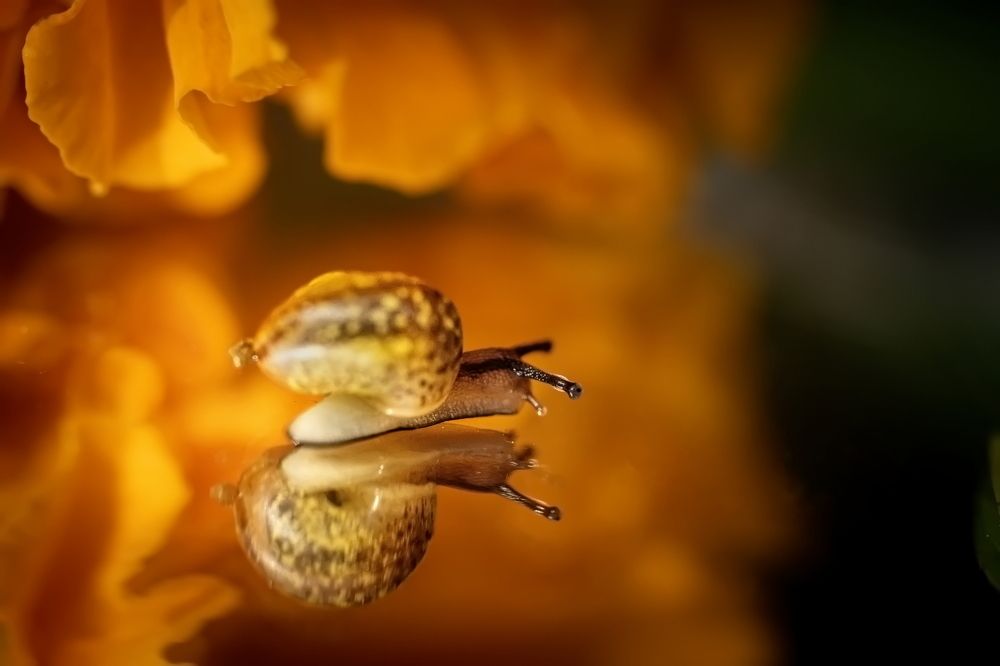 Photograph by Николай Фонарёв