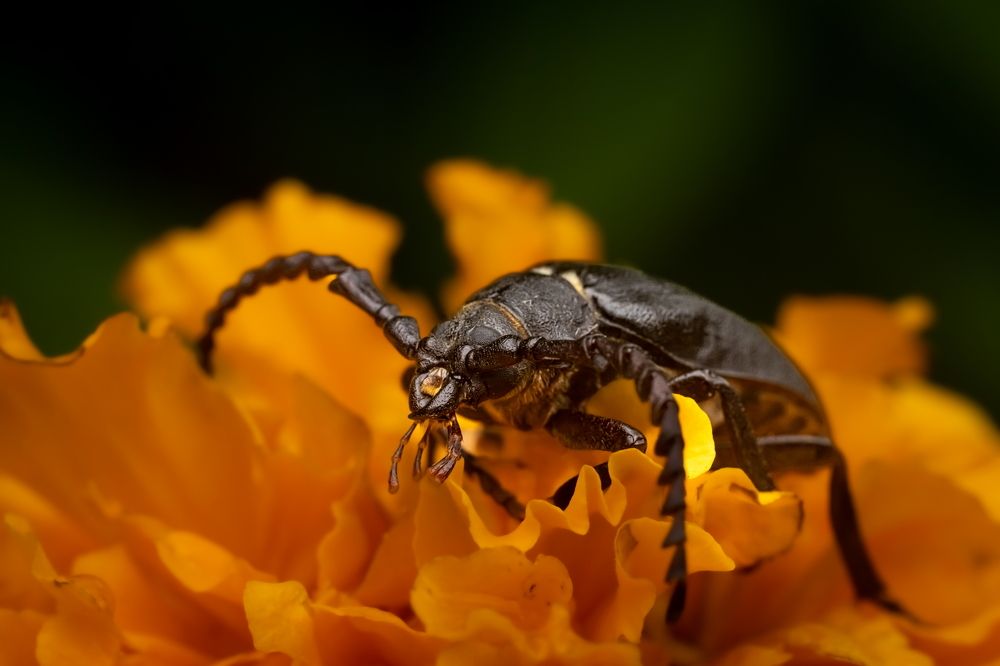 Photograph by Николай Фонарёв