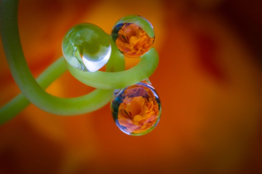 Photograph by Николай Фонарёв