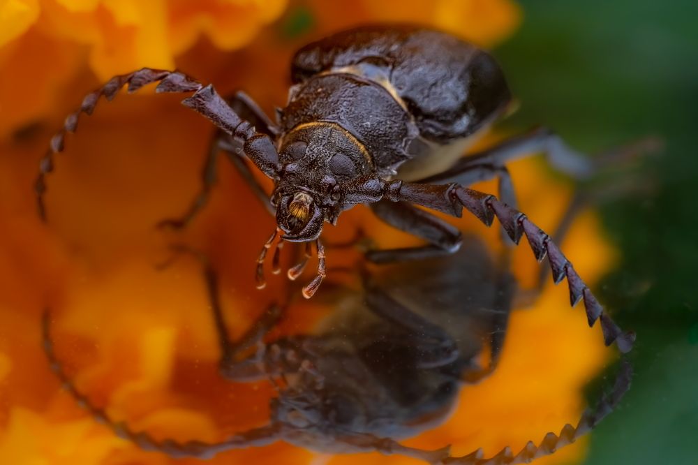 Photograph by Николай Фонарёв