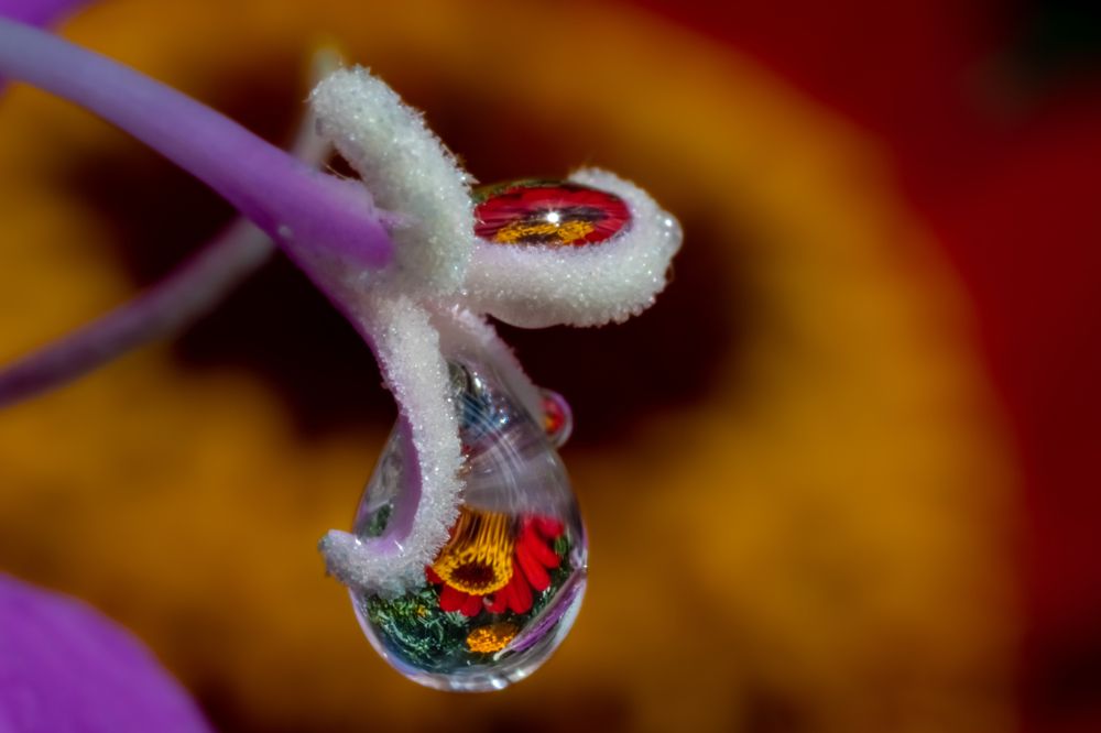 Photograph by Николай Фонарёв