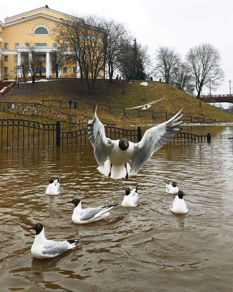 Фотография автора Александр Сипаров