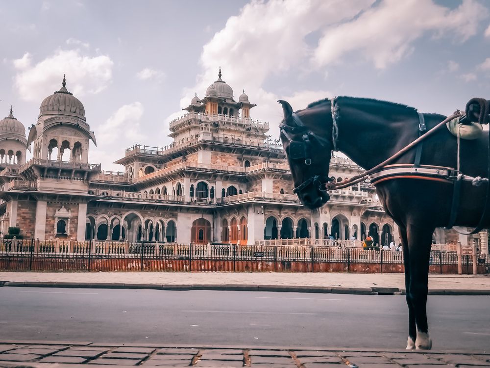 Photograph by prashant bamnawat