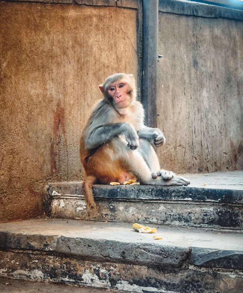 Photograph by prashant bamnawat